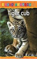 Tiger Cub: Orange Reading Level