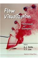 Flow Visualization: Techniques And Examples