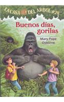 Buenos Dias, Gorilas