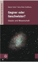 Gegner Oder Geschwister?