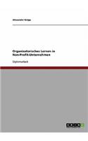 Organisatorisches Lernen in Non-Profit-Unternehmen