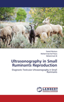 Ultrasonography in Small Ruminants Reproduction