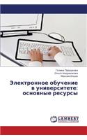 Elektronnoe Obuchenie V Universitete