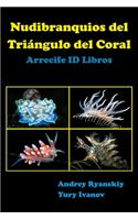Nudibranquios del Triángulo del Coral