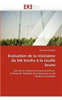 Evaluation de la Résistance Du Blé Tendre À La Rouille Brune