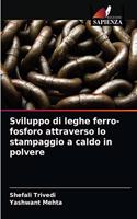 Sviluppo di leghe ferro-fosforo attraverso lo stampaggio a caldo in polvere