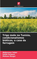 Trigo mole na Tunísia, condicionalismos bióticos, o caso da ferrugem