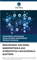 Biosynthese Von Eisen-Nanopartikeln Aus Hydrocotyle Leucocephala-Blättern