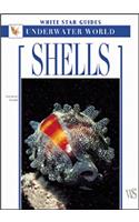 Shells