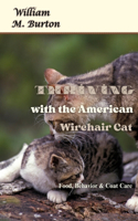 Thriving with the American Wirehair Cat