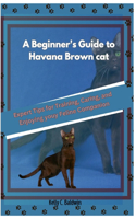 Beginner's Guide to Havana Brown cats