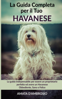 La Guida Completa per Il Tuo Havanese
