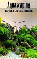 Aquascaping Guide for Beginners