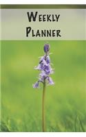 Weekly Planner