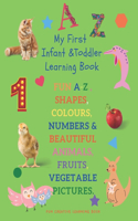 My First Infant & Toddles Learning Book