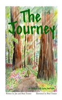 Journey Life Lessons with Diane the Turtle