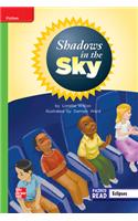 Reading Wonders Leveled Reader Shadows in the Sky: Beyond Unit 3 Week 2 Grade 2