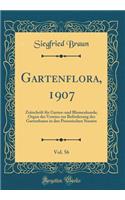 Gartenflora, 1907, Vol. 56: Zeitschrift für Garten-und Blumenkunde; Organ des Vereins zur Beförderung des Gartenbaues in den Preussischen Staaten (Classic Reprint)