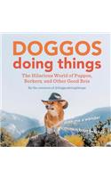 Doggos Doing Things