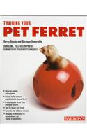 Guide to Training Your Pet Ferret