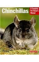 Chinchillas Pom