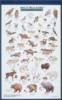 Alaskan Wildlife