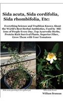 Sida acuta, Sida cordifolia, Sida rhombifolia, Etc.