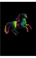 Rainbow Horse Diary