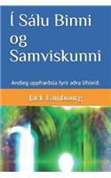 Í Sálu Binni Og Samviskunni