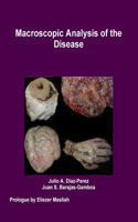 Macroscopic Analysis of the Disease