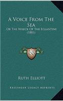 A Voice From The Sea