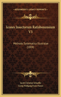 Icones Insectorum Ratisbonensium V3