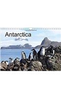 Antarctica (UK - Version) 2018