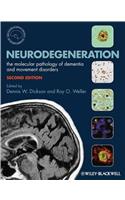 Neurodegeneration