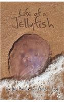 Life of a Jellyfish