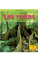 Las Raíces