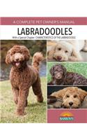Labradoodles