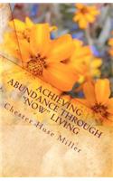 Achieving Abundance Through 