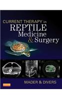 Current Therapy in Reptile Medicine & Surgery