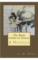 The Brain Within Its Groove: A Novella