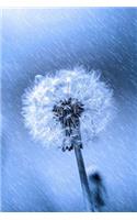 Mind Blowing Dandelion In The Rain: 150 page lined journal