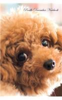 Poodle December Notebook Poodle Record, Log, Diary, Special Memories, To Do List, Academic Notepad, Scrapbook & More
