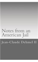 Notes from an American Jail