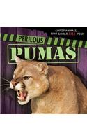 Perilous Pumas