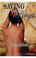 Saving Brigit [The Passionate Pis 2]