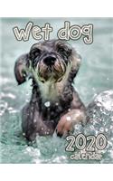 Wet Dog 2020 Calendar