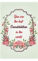 You Are The Best Grandchildren In The World