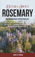 Details about Rosemary (Rosmarinus Officinalis)