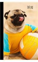 Ball Pug