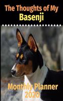 The Thoughts of My Basenji